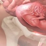 18 тиждень – Вагітність на вісімнадцятому тижні 